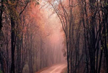 西班牙巨人球队遭遇惨败，教练组面临压力