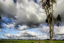 火箭主教练宣布将对球队实行轮换阵容